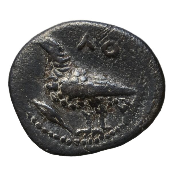 аверс Locri Epizephyrii Historia Numorum Italy 2332-2333