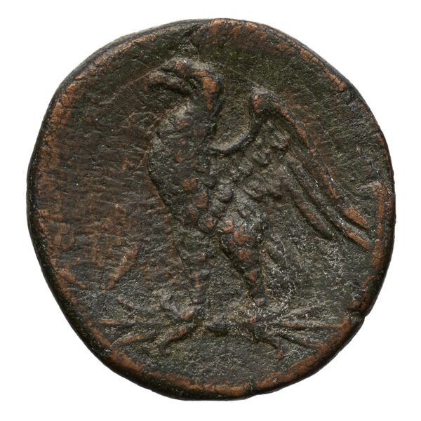 реверс Locri Epizephyrii Historia Numorum Italy 2400-2401