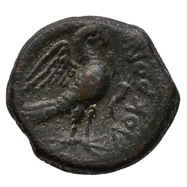 coin rev