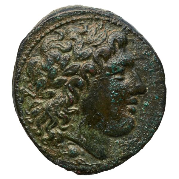 Nuceria Historia Numorum Italy 2438-46, аверс, bnf-iris