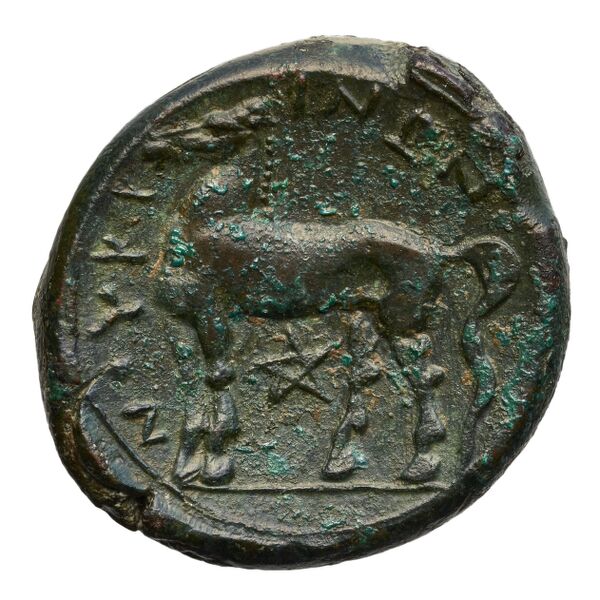 Nuceria Historia Numorum Italy 2438-46, реверс, bnf-iris