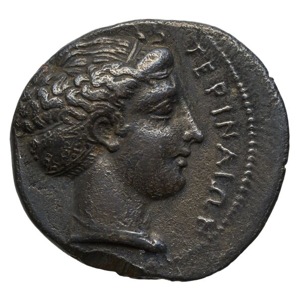 аверс Terina Historia Numorum Italy 2627-2628