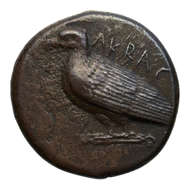 Agrigentum SNG ANS 964, аверс, bnf-iris