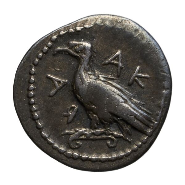 Agrigentum SNG ANS 986-988, аверс, bnf-iris