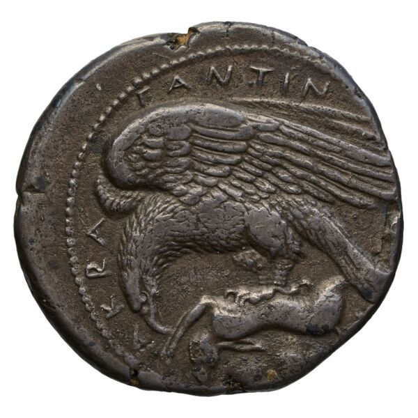 Agrigentum SNG ANS 985, аверс, bnf-iris