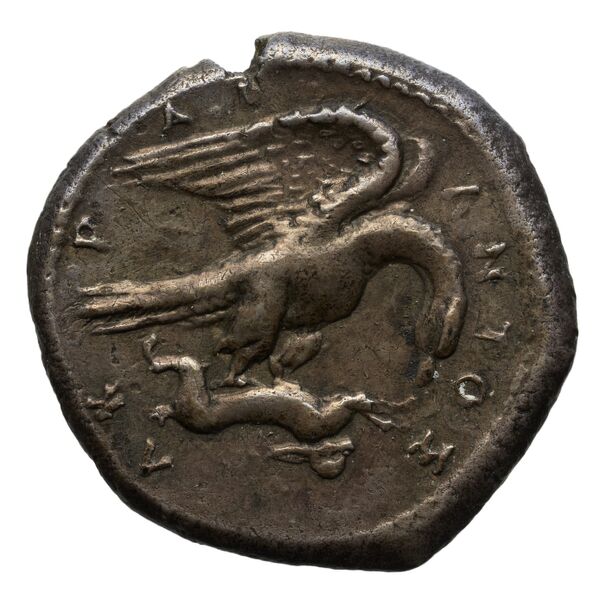 Agrigentum SNG ANS 985, аверс, bnf-iris