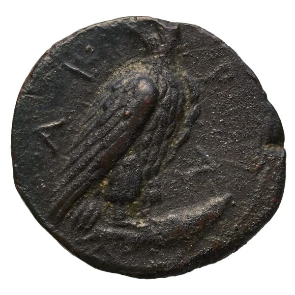 Agrigentum Puglisi 2009 24, аверс, bnf-iris