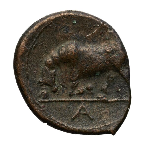 coin rev