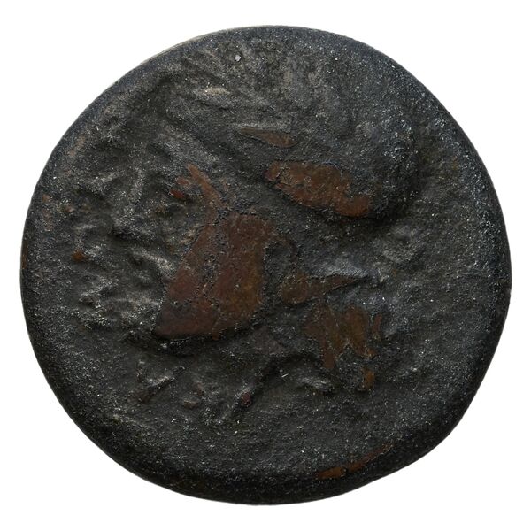 obverse Campanian Mercenaries (Entella) Entella Puglisi 2009 85