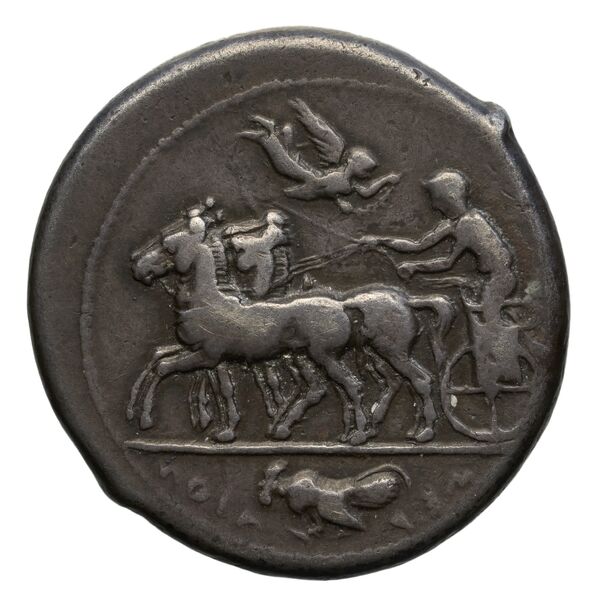 Himera SNG ANS 165, реверс, bnf-iris