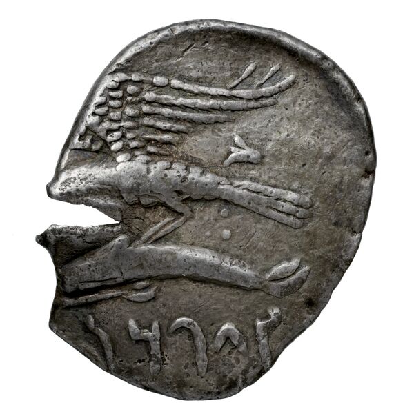 Ariarathes I of Cappadocia Sinope Waddington 1925 35, reverse, bnf-iris
