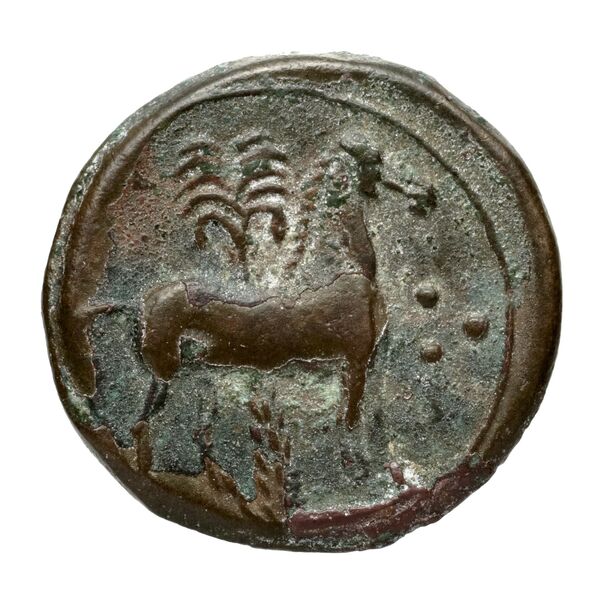 Carthaginian Empire Carthage Alexandropoulos 2007 25, реверс, bnf-iris