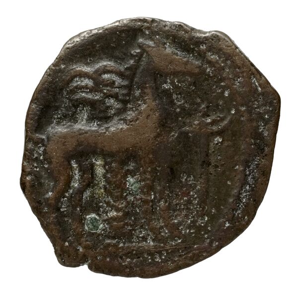 Carthaginian Empire Carthage Alexandropoulos 2007 25, реверс, bnf-iris