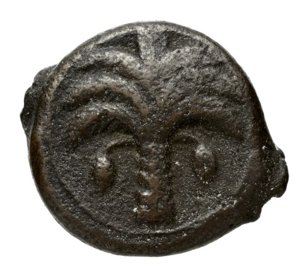 Carthaginian Empire Carthage Alexandropoulos 2007 20, аверс, bnf-iris
