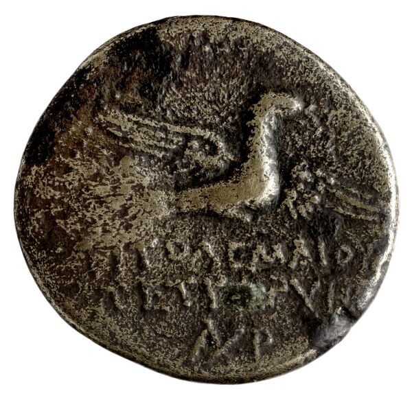 Ptolemy of Chalcis Chalcis sub Libano Herman 2006 7, реверс, bnf-iris