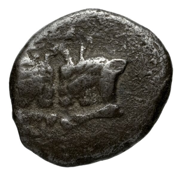 Uncertain Carian mint D Konuk 2007 M44-5, аверс, bnf-iris