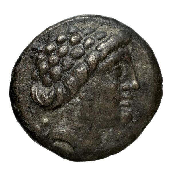 Chalcis Picard 1979 Series I group IV issue 66-81 bronze, аверс, bnf-iris