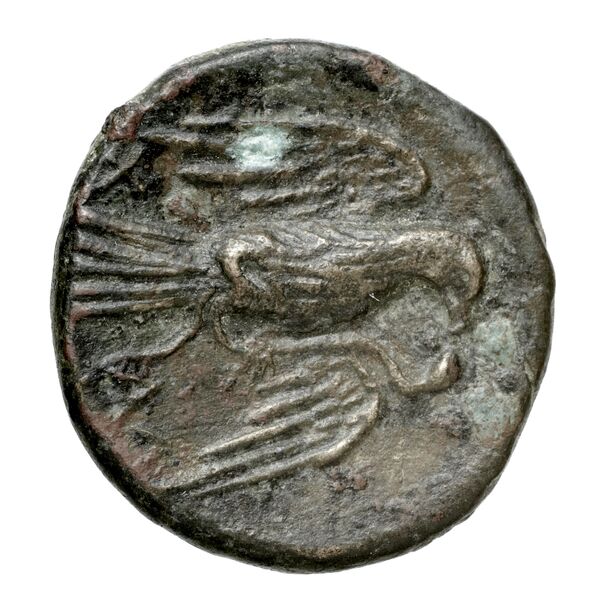 Chalcis Picard 1979 Series I group IV issue 66-81 bronze, реверс, bnf-iris