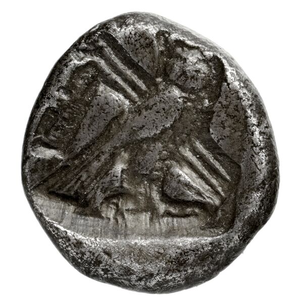Tyre Elayi 2009 I.1.1-3 and 5, реверс, bnf-iris