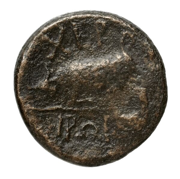 reverse Chersonesus, Tauric Anokhin 2011 782-3