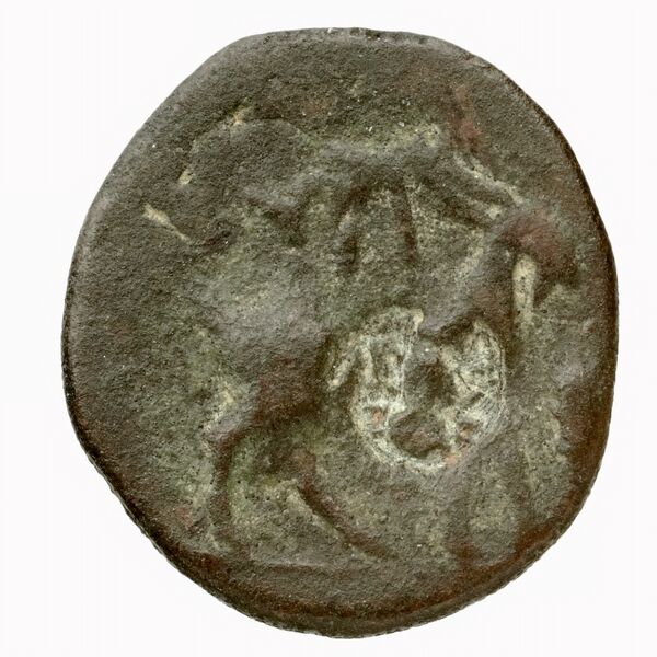 Syros BMC Syros 1-12, реверс, bnf-iris