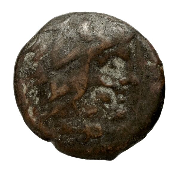 Olbia Anokhin 2011 495; 499, bnf-iris