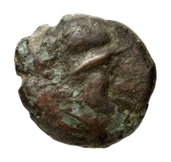 Olbia Anokhin 2011 490-2, bnf-iris