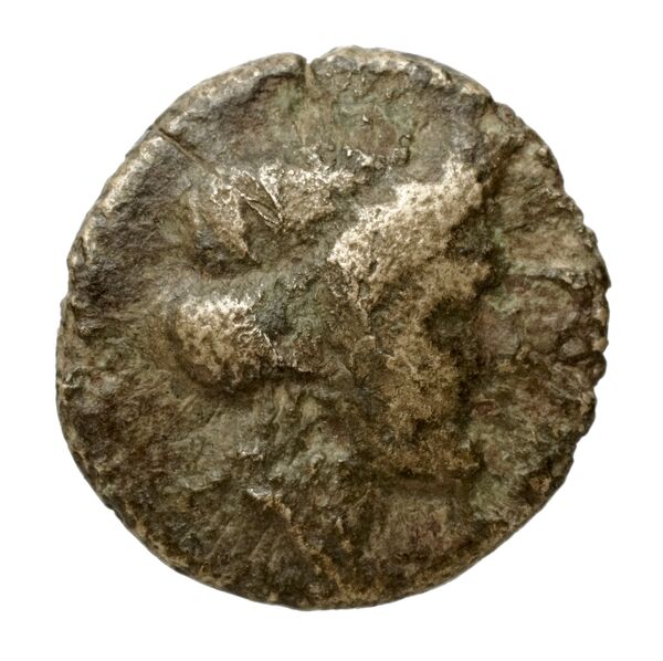 Olbia Anokhin 2011 222-32, bnf-iris