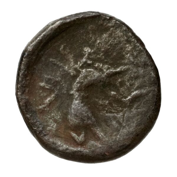 Olbia Anokhin 2011 222-32, реверс, bnf-iris
