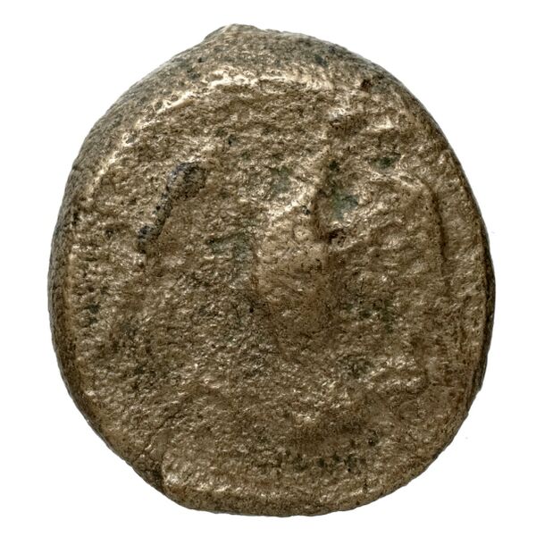 Aphytis AMNG III.2 13, реверс, bnf-iris