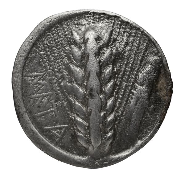 obverse Metapontum Historia Numorum Italy 1459