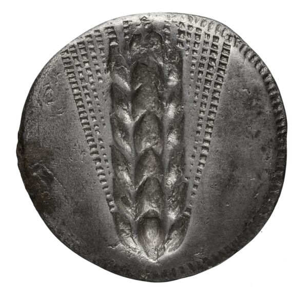 reverse Metapontum Historia Numorum Italy 1459