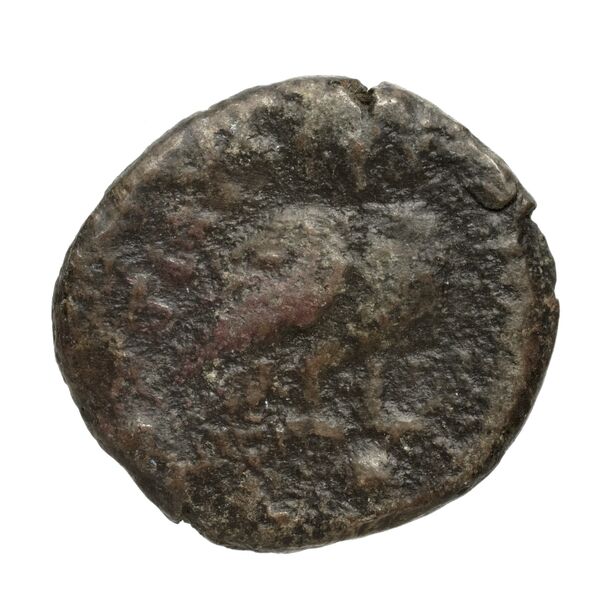 Teate Historia Numorum Italy 702, reverse, bnf-iris