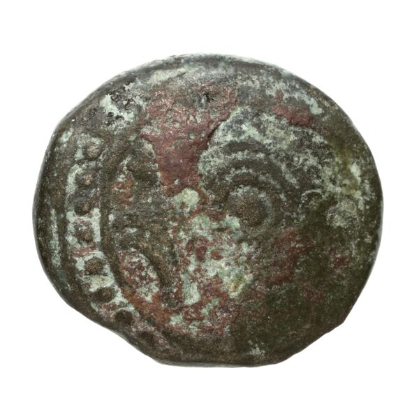 Pyrrhus Pella BMC Pyrrhus 36-39, аверс, bnf-iris