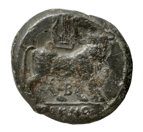 Cales Historia Numorum Italy 436, реверс, bnf-iris