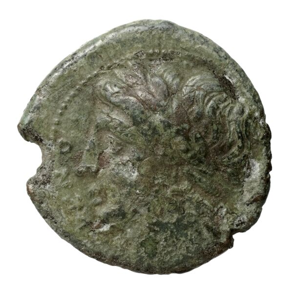 Cales Historia Numorum Italy 436, аверс, bnf-iris