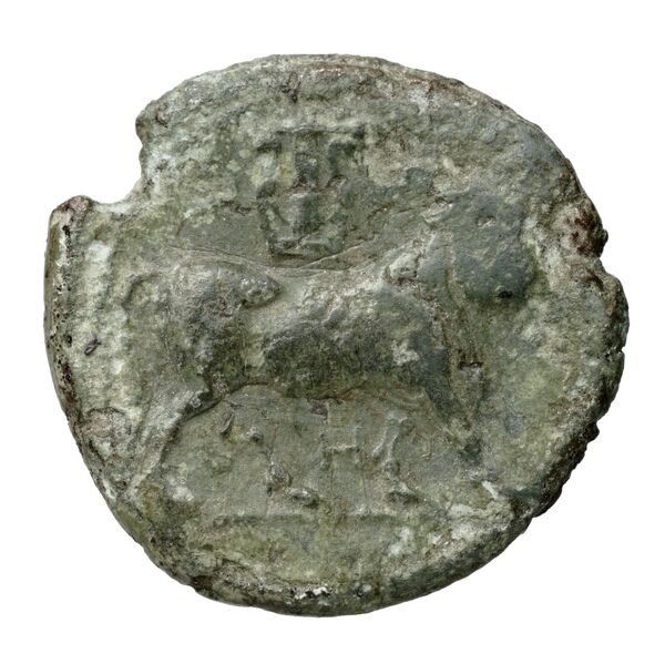 Cales Historia Numorum Italy 436, реверс, bnf-iris