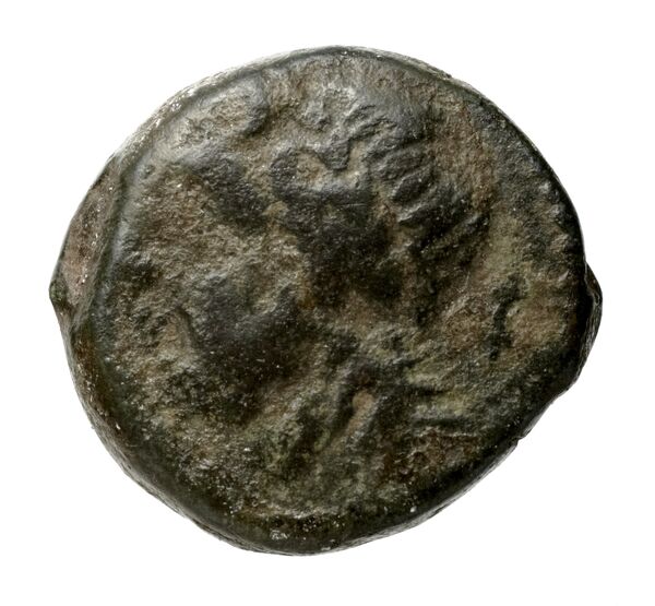 obverse Arpi Historia Numorum Italy 643