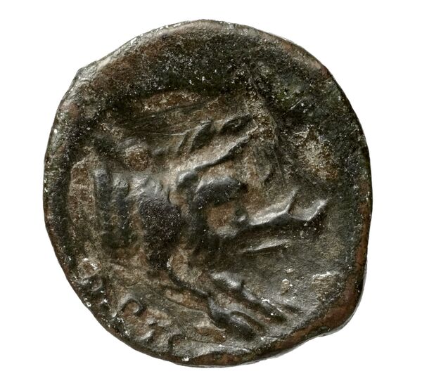 reverse Arpi Historia Numorum Italy 643