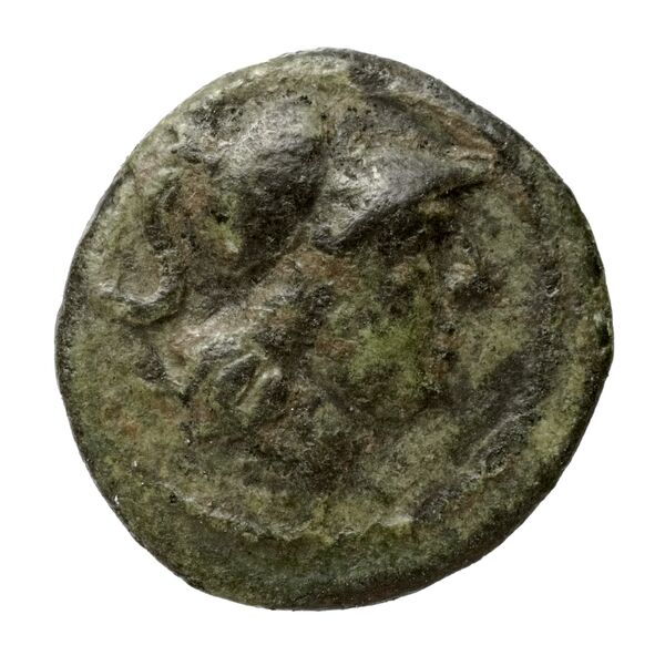 Caelia Historia Numorum Italy 771, аверс, bnf-iris