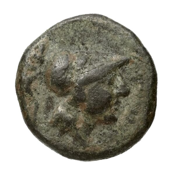 аверс Caelia Historia Numorum Italy 771