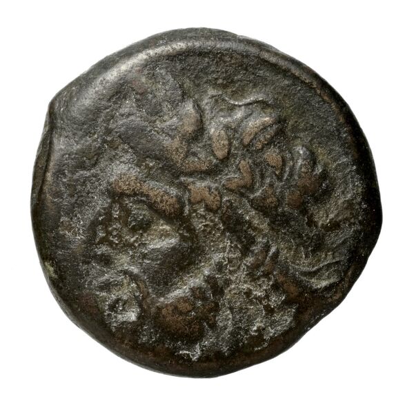 Salapia Historia Numorum Italy 690, аверс, bnf-iris