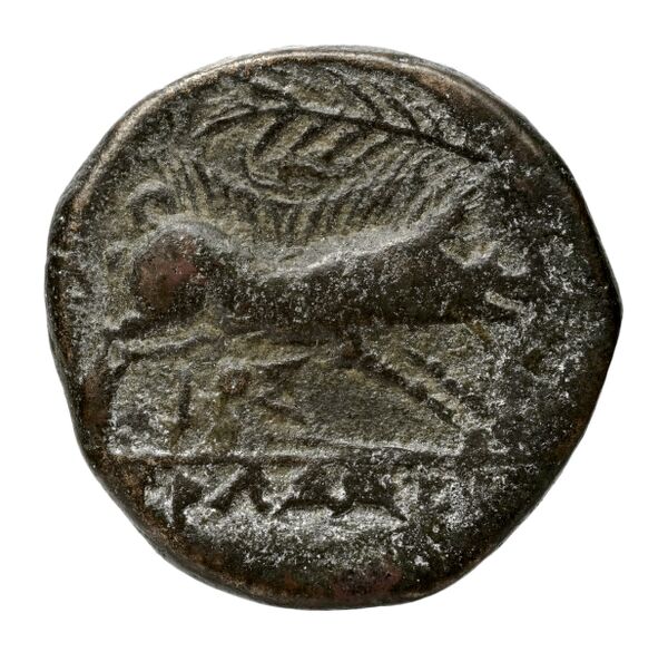 Salapia Historia Numorum Italy 690, реверс, bnf-iris