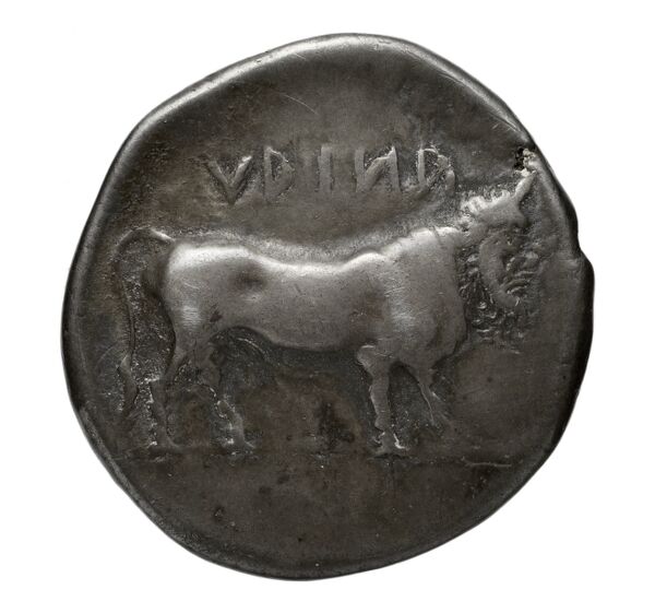 Hyria Campania (Hyrietes, Hyrianoi) Historia Numorum Italy 539, реверс, bnf-iris