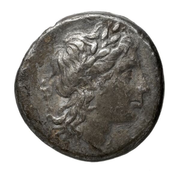 Suessa Aurunca Historia Numorum Italy 447, аверс, bnf-iris