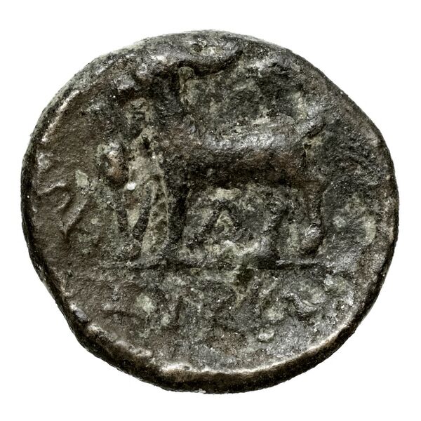Syros BMC Syros 1-12, реверс, bnf-iris