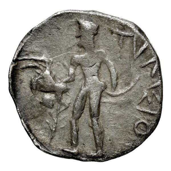 Tylisus Svoronos 1890 (1972) no. 1-8, реверс, bnf-iris