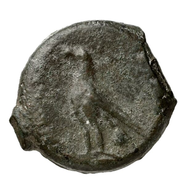 Locri Epizephyrii Historia Numorum Italy 2352, реверс, bnf-iris