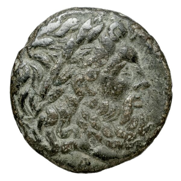 Oeniadae BMC Oeniadae 6-14, аверс, bnf-iris