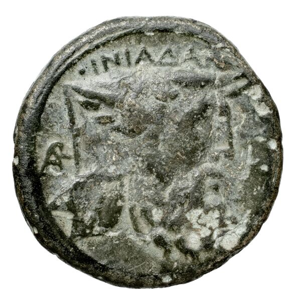 Oeniadae BMC Oeniadae 6-14, реверс, bnf-iris